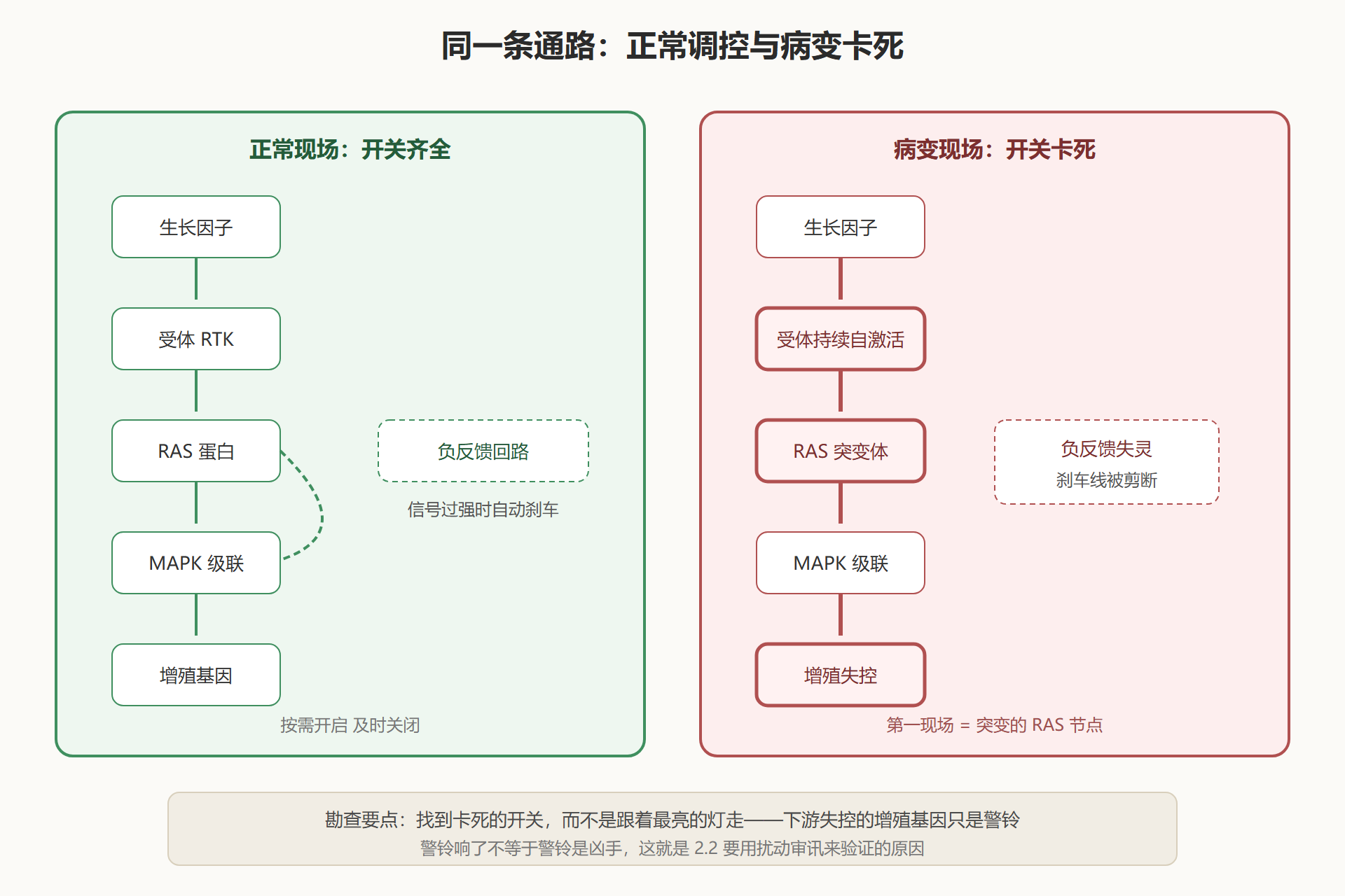 图 2-1：通路勘查——正常现场与病变现场的对照