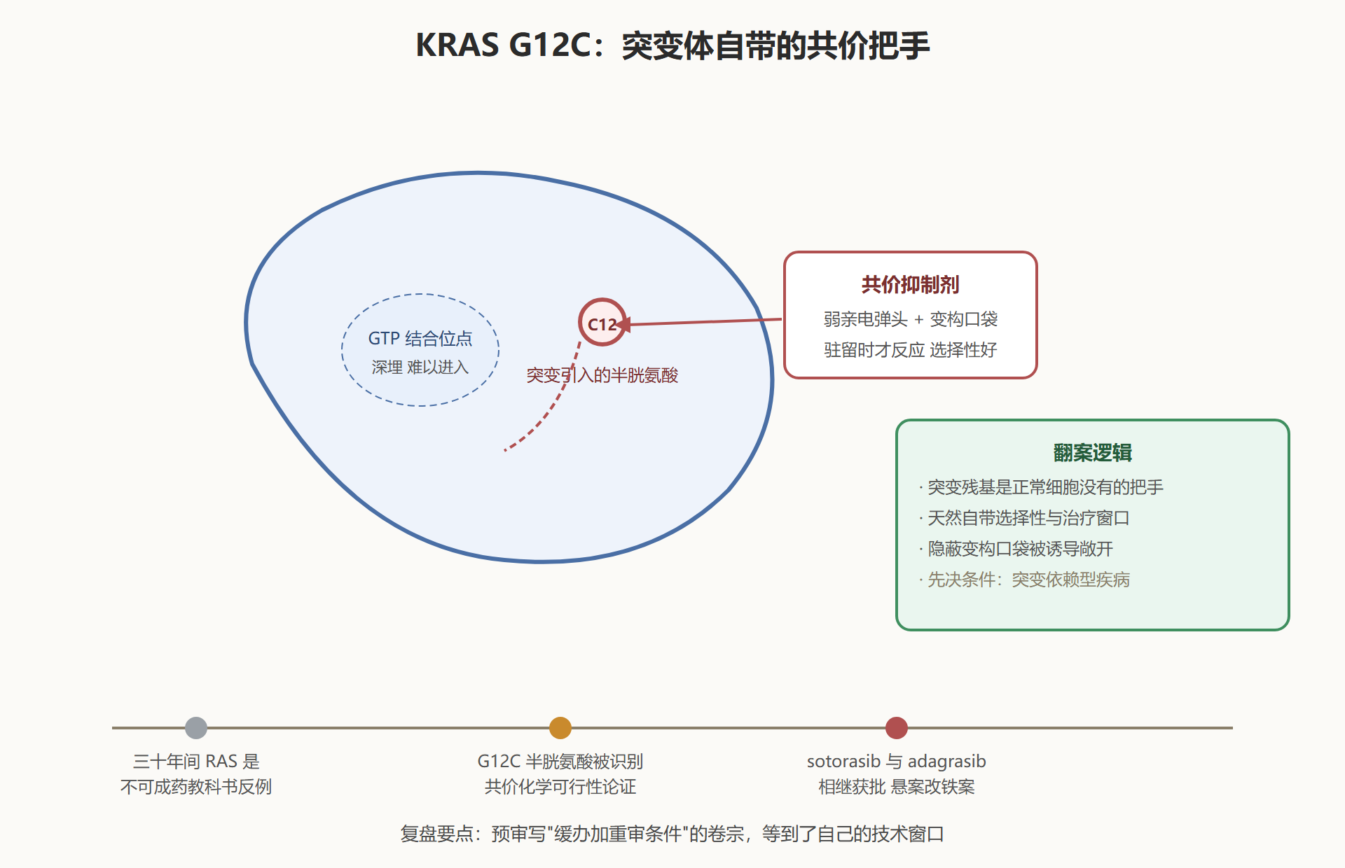 图 6-1：KRAS G12C 翻案的机制与时间线