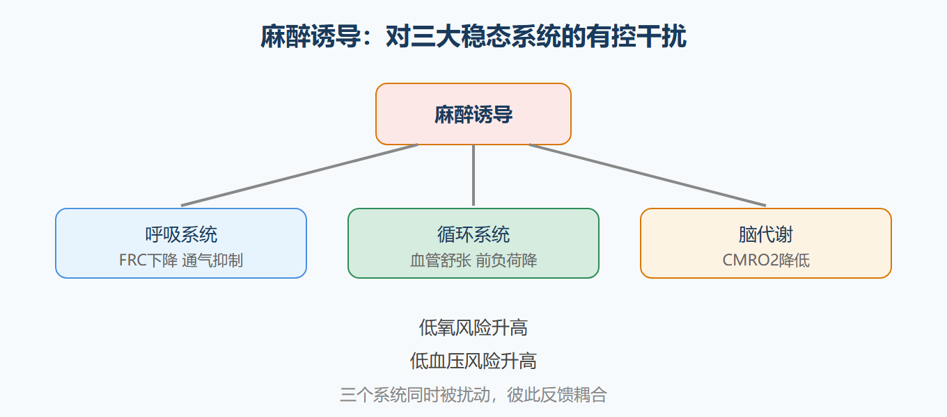 麻醉诱导后的生理冲击路径
