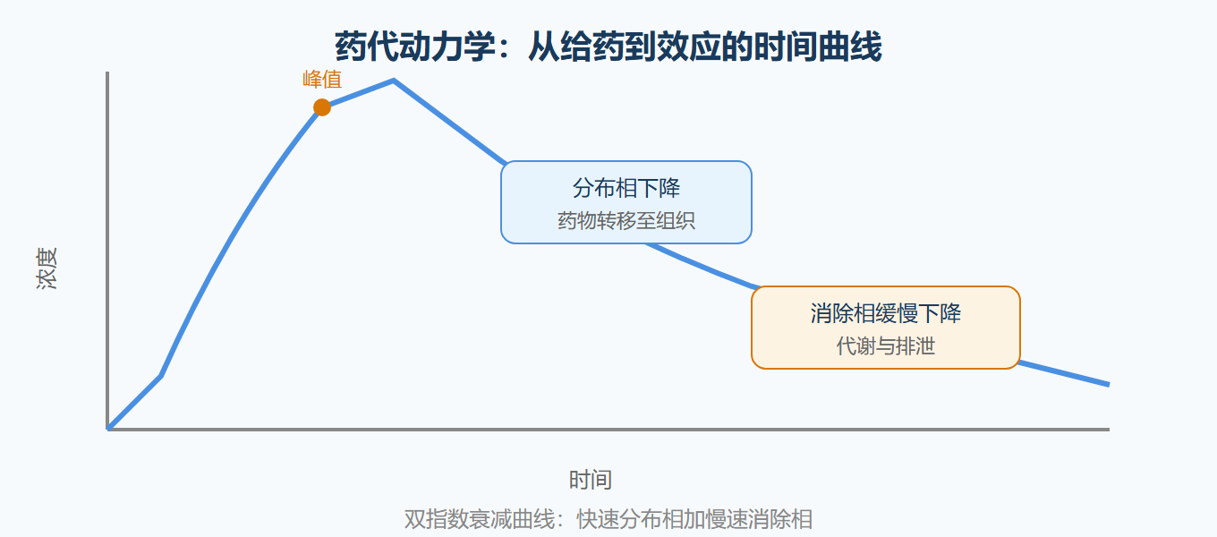 药物浓度-效应关系示意