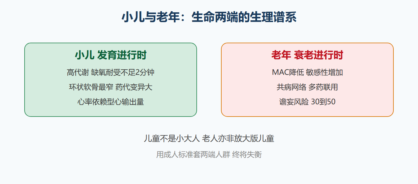 生命两端的生理差异