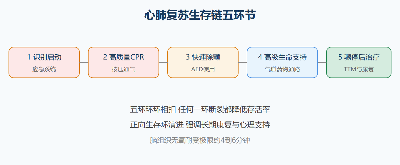 生存链五环节示意