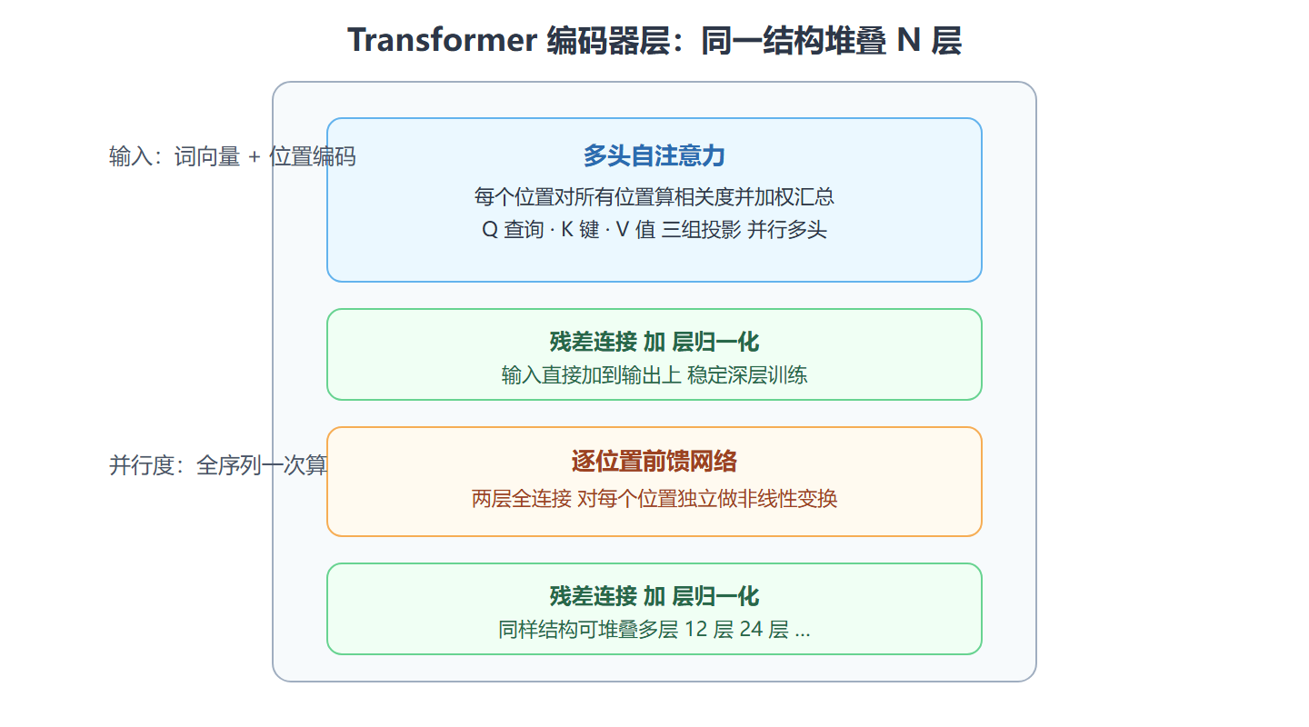 图：Transformer 编码器层结构透视