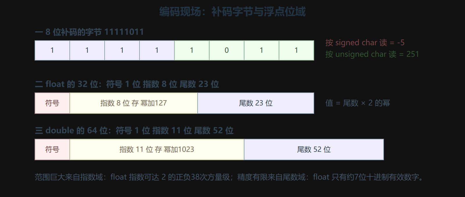 图 1 同一字节的两副面孔与浮点位域