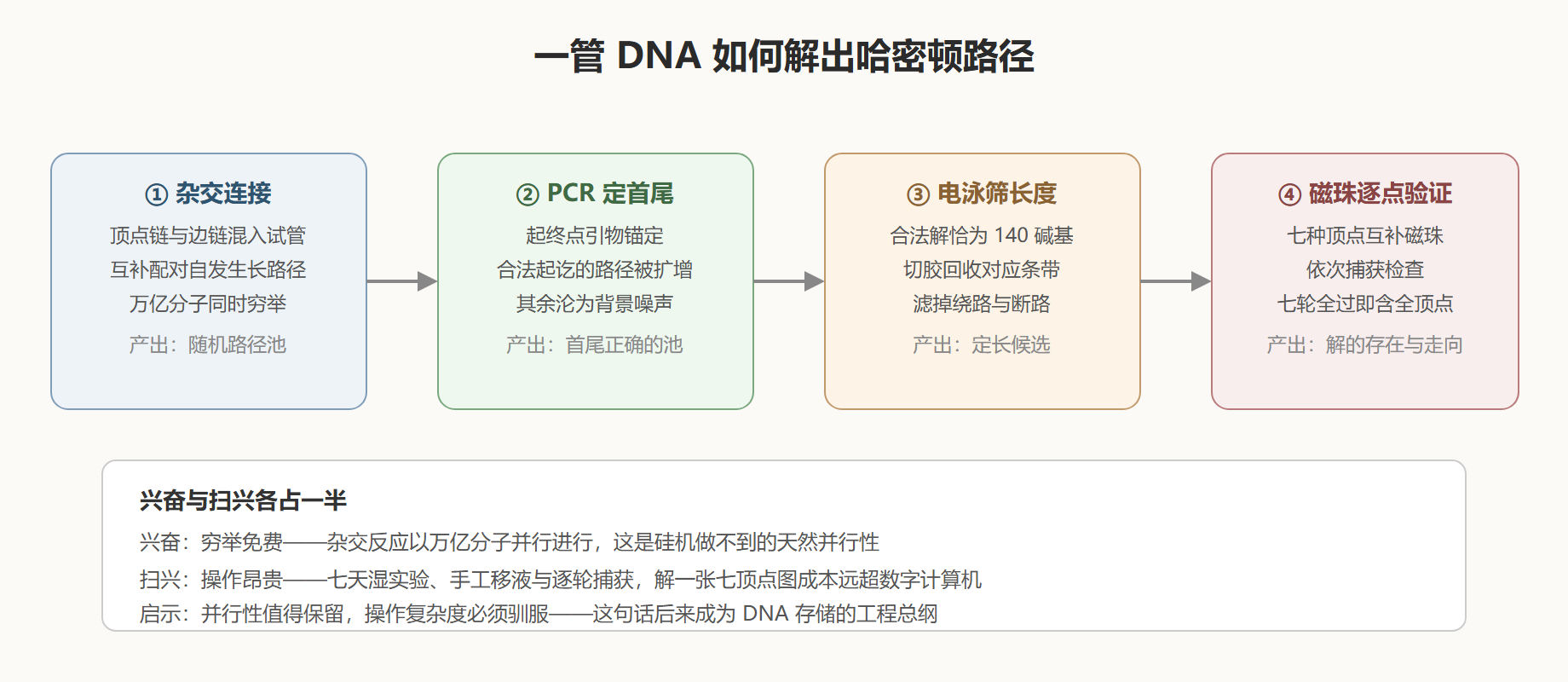 图:阿德曼实验的四步筛选流水线