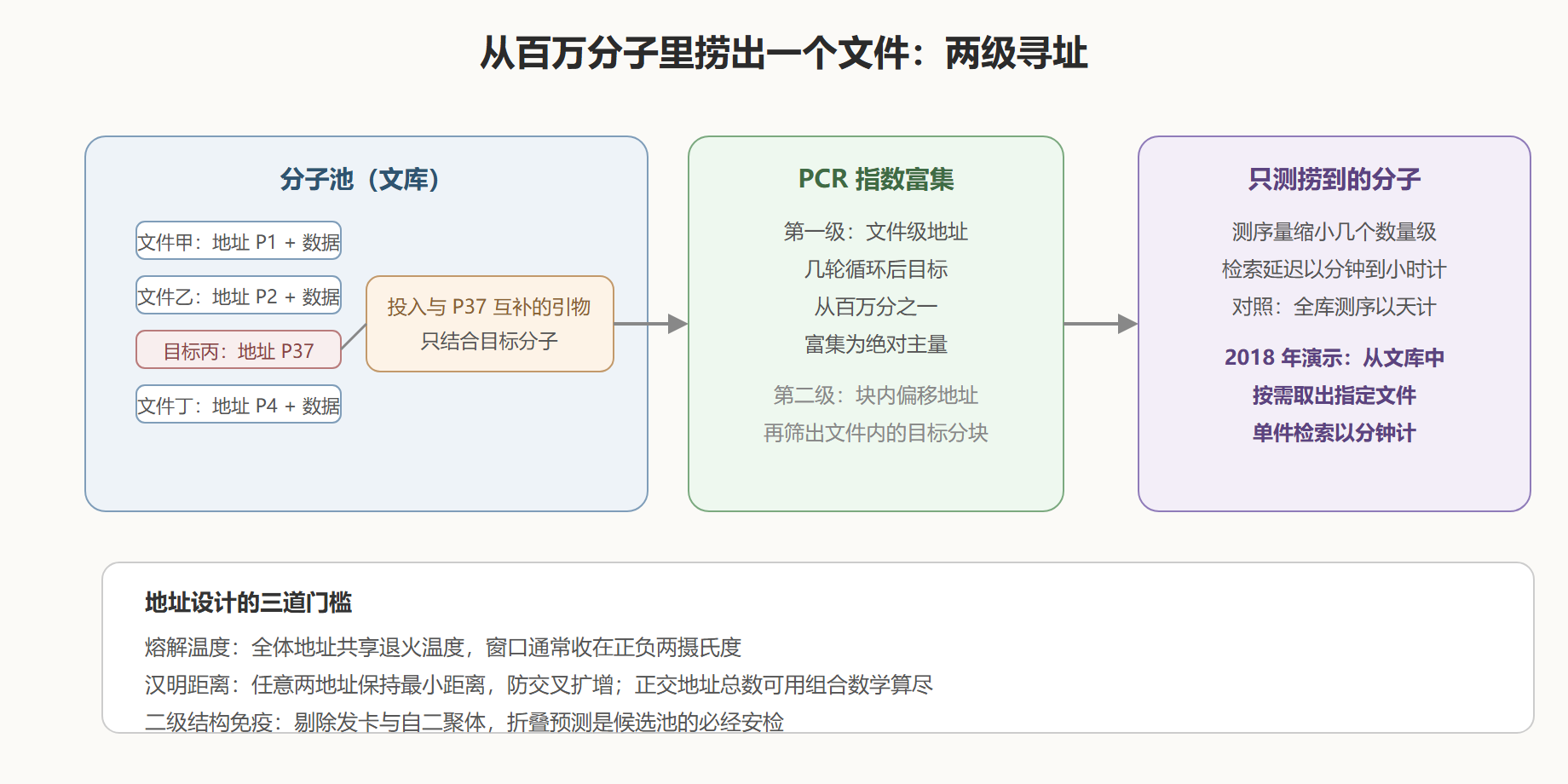 图:两级引物寻址的随机访问原理