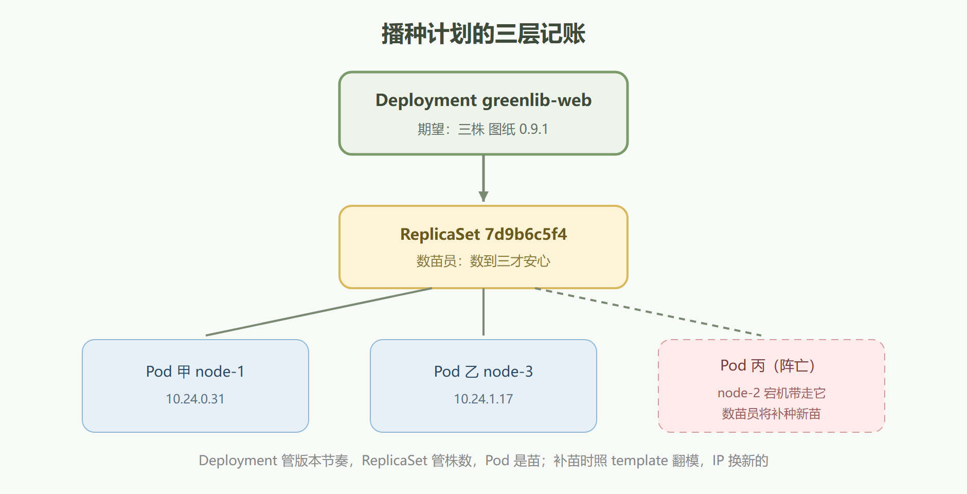 图:三层结构与一次补苗