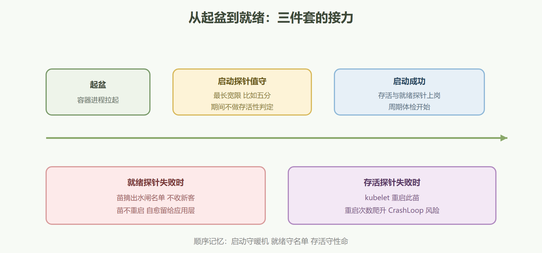 图：一株苗的体检时间线