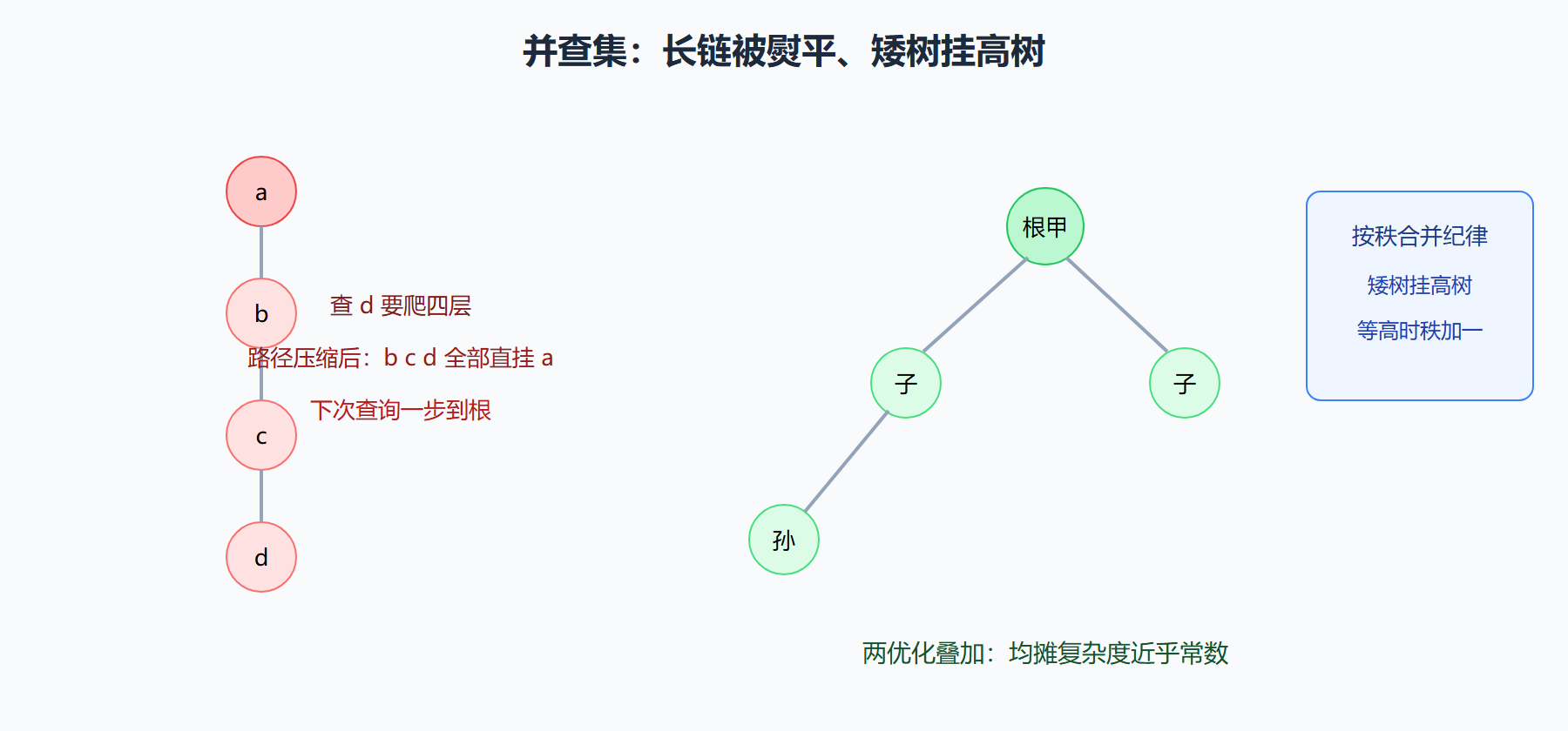 两大优化如何驯服树高
