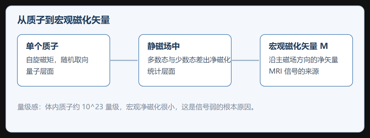 图：从微观自旋到宏观磁化的三级放大