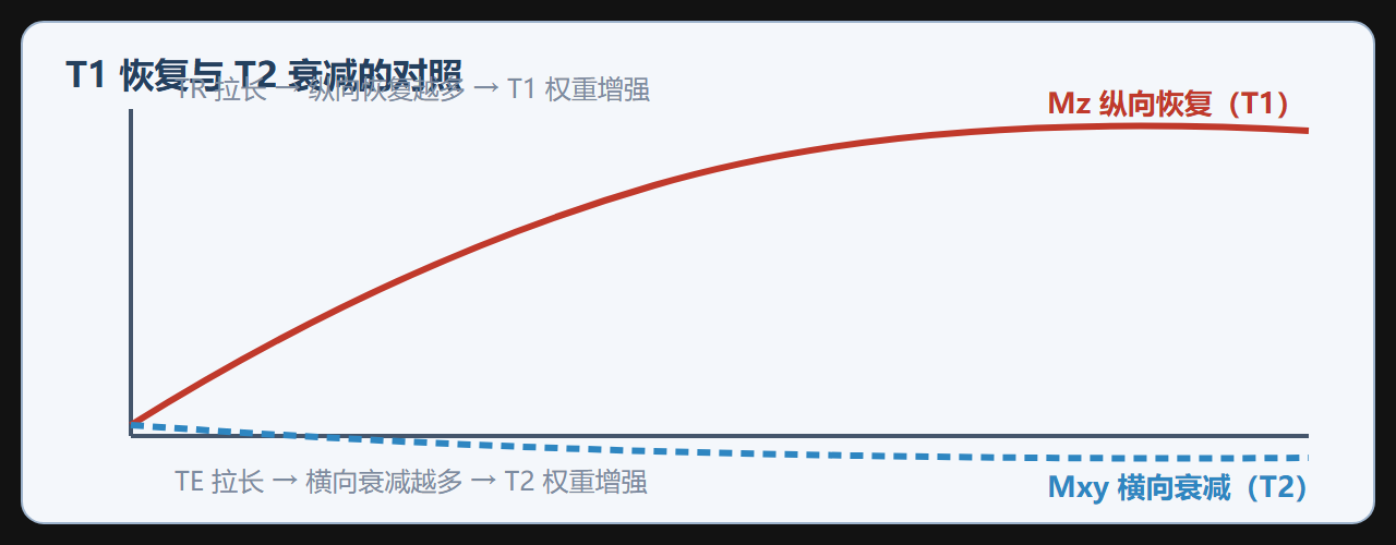 图：T1 与 T2 两条弛豫曲线的对照