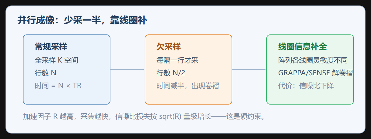 图：并行成像中线圈敏感度的互补