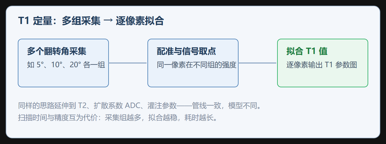 图：多回波衰减拟合与参数图输出