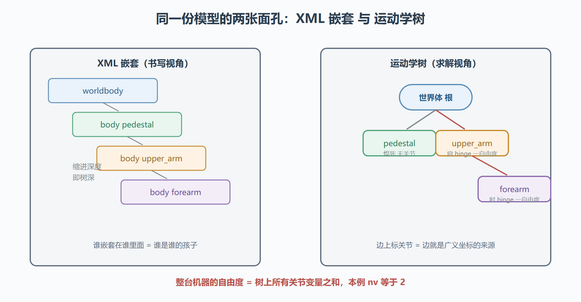 图 2-2 一段 MJCF 与它对应的两棵树