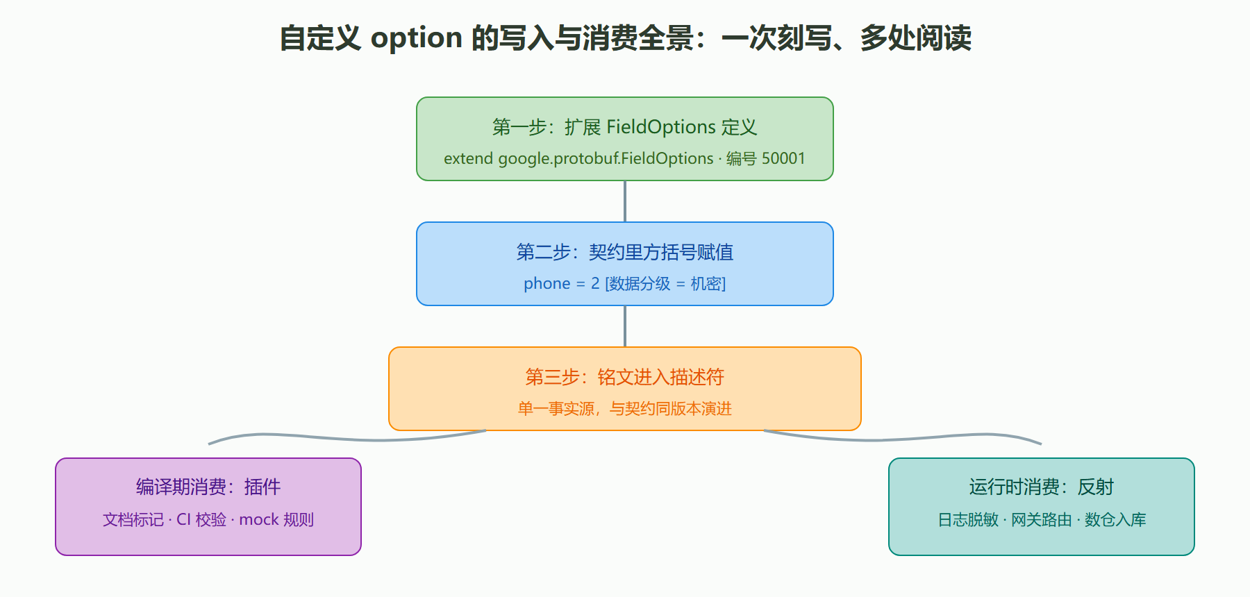 图 6-2 自定义 option 的写入与消费全景