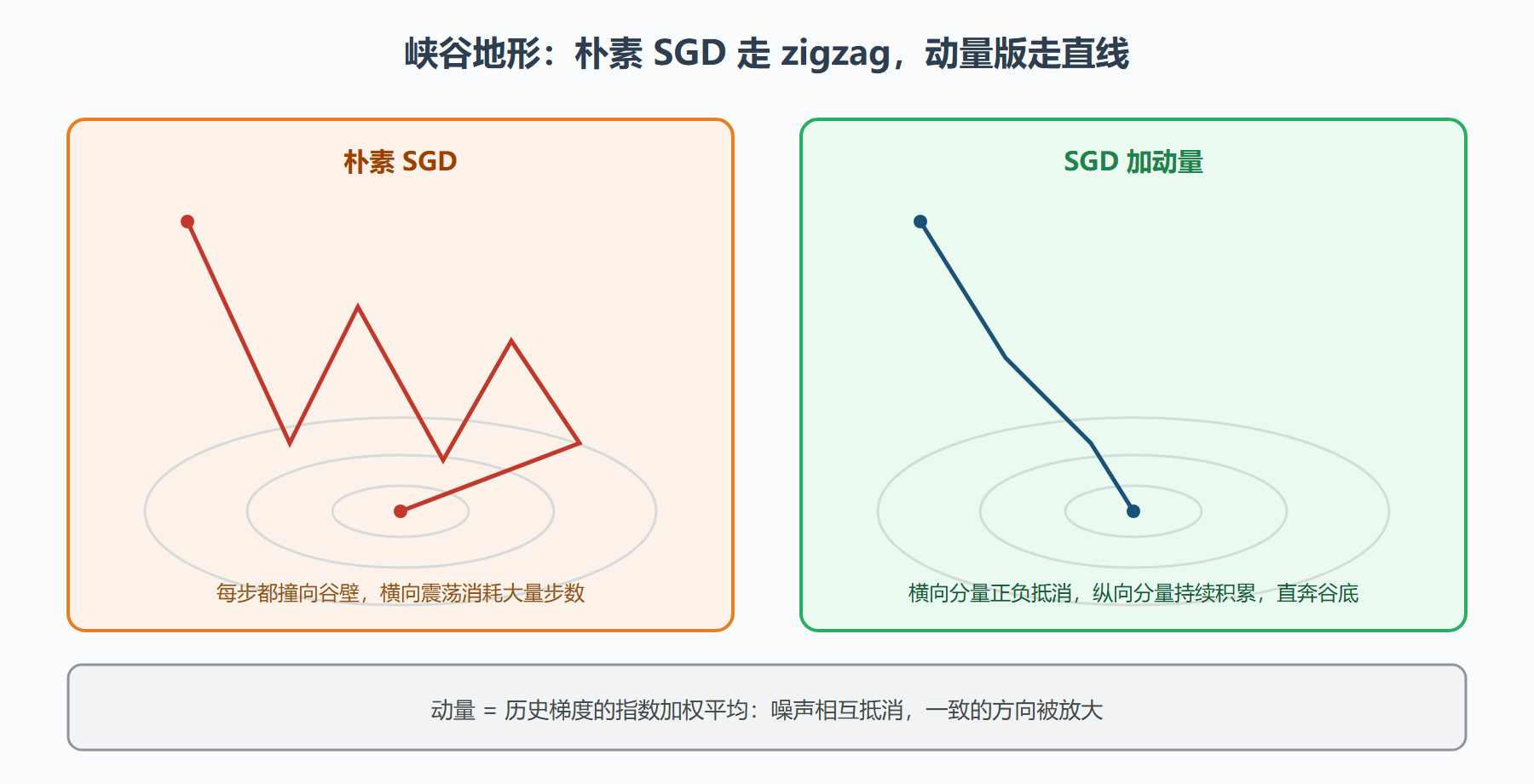 图 5-2：同一损失面上，SGD 与动量版的不同走法