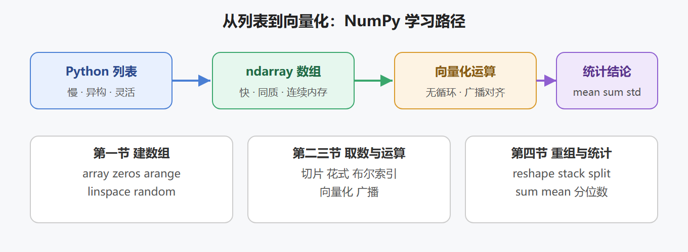 NumPy 学习路径图