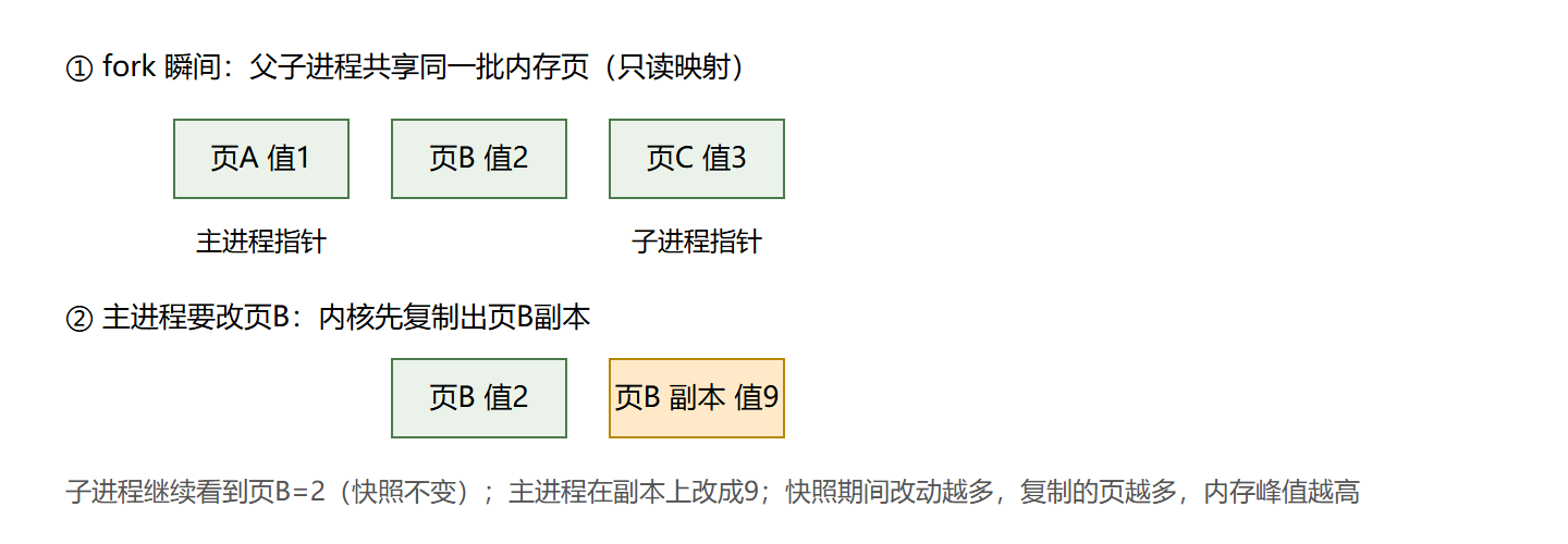 fork 与写时复制