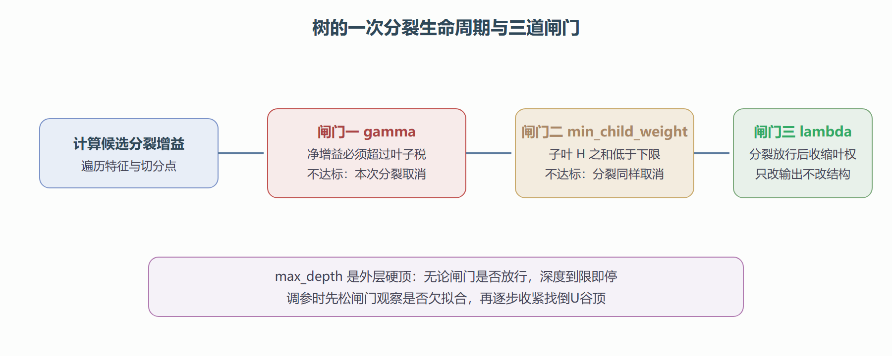 三个正则参数在树生长流程中的分工