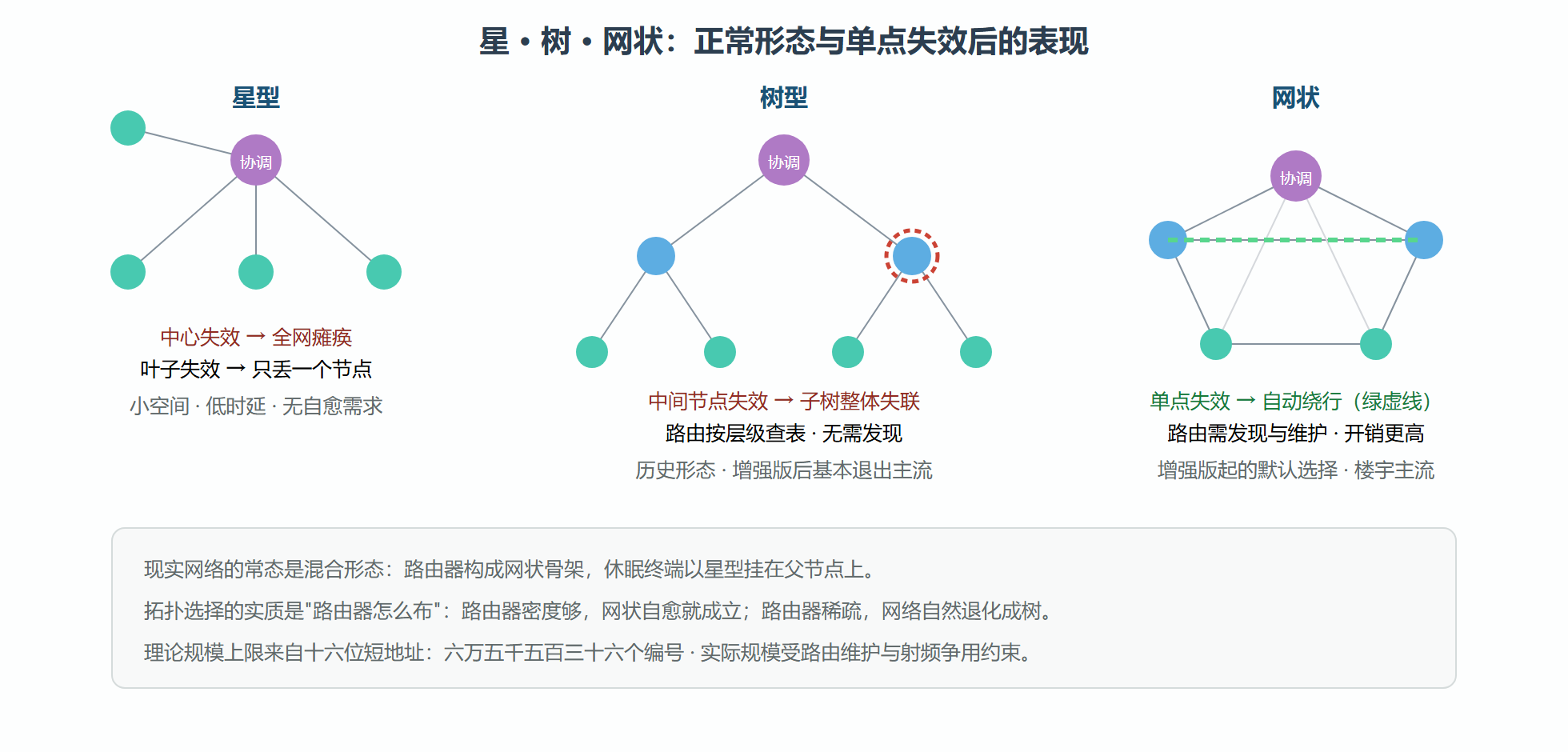 图:三型拓扑的形态与失效行为对比